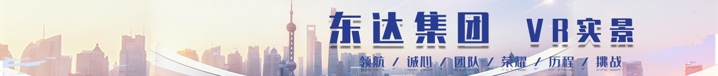 山東東達集團